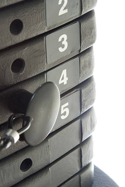 Exercise Weights (2) stock photo