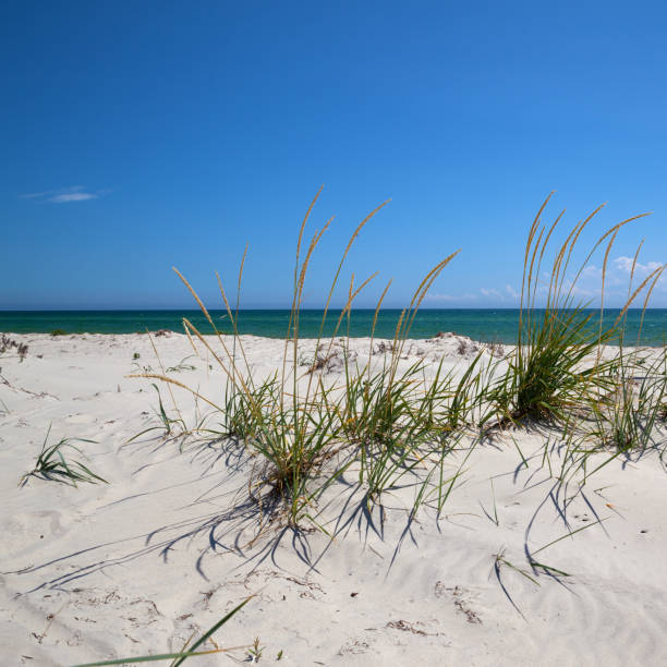 istock Blue clear sky, sea and sand on deserted beach 934877346
