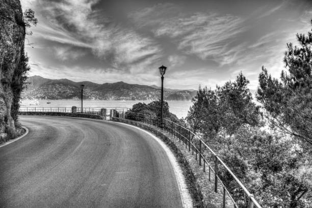 istock Monochrome road to Portofino 934878894