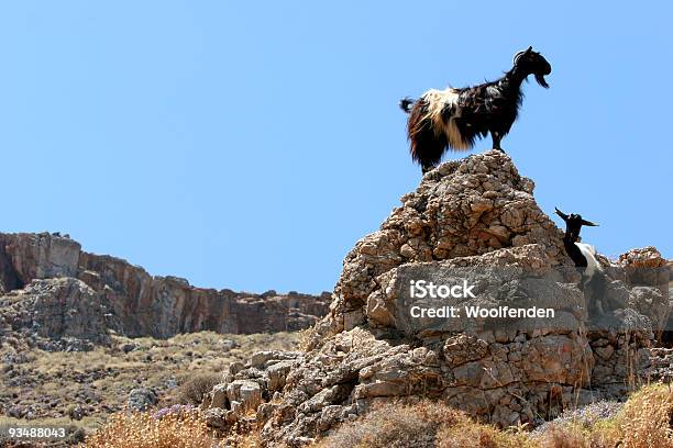 Cabra Lookout - Fotografias de stock e mais imagens de Grécia - Grécia, Vigilância, Animal
