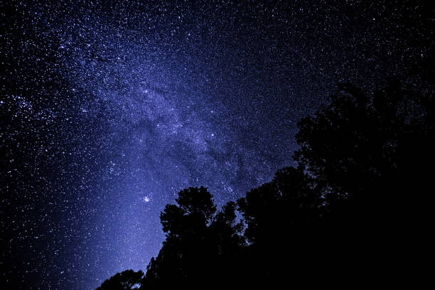 istock Stars and Milky Way Astrophotography Landscape 934883970