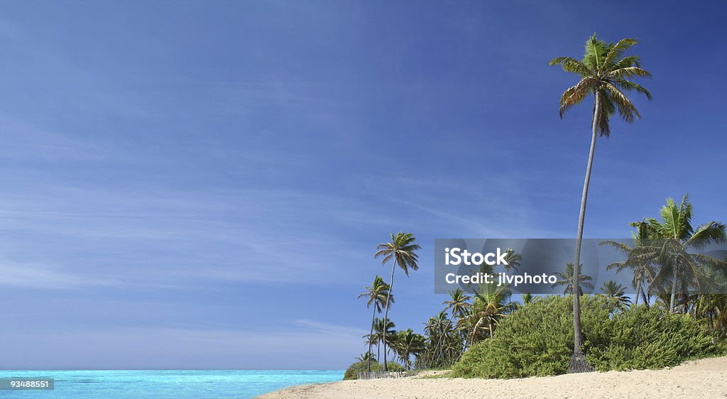 Paradisiaca isola tropicale - Foto stock royalty-free di Acqua