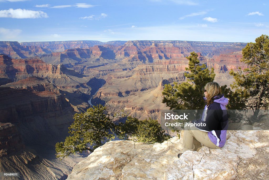 Magnificent Grand Canyon  Adult Stock Photo