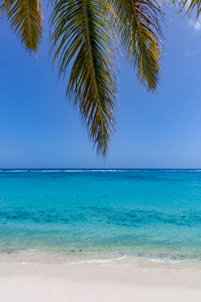 istock tropical beach on mauritius island 934890542