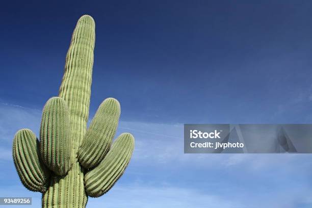 Photo libre de droit de Cactus Saguaro banque d'images et plus d'images libres de droit de Arizona - Arizona, Cactus, Désert