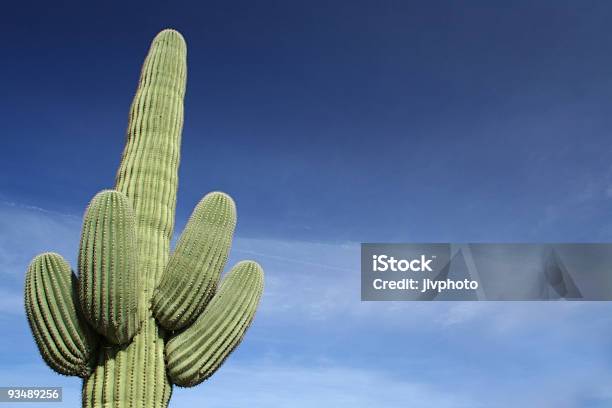 Cato De Carnegia Gigantea - Fotografias de stock e mais imagens de Arizona - Arizona, Cato, Deserto
