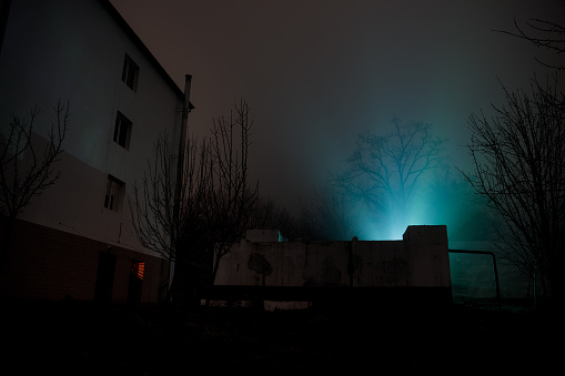 Old house with a Ghost in the forest at night or Abandoned Haunted Horror House in fog. Old mystic building in dead tree forest. Creepy house in the middle of a dark forest. Surreal lights