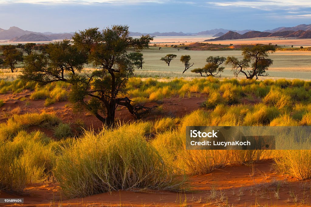 Morgen in der Wueste - Lizenzfrei Namibia Stock-Foto