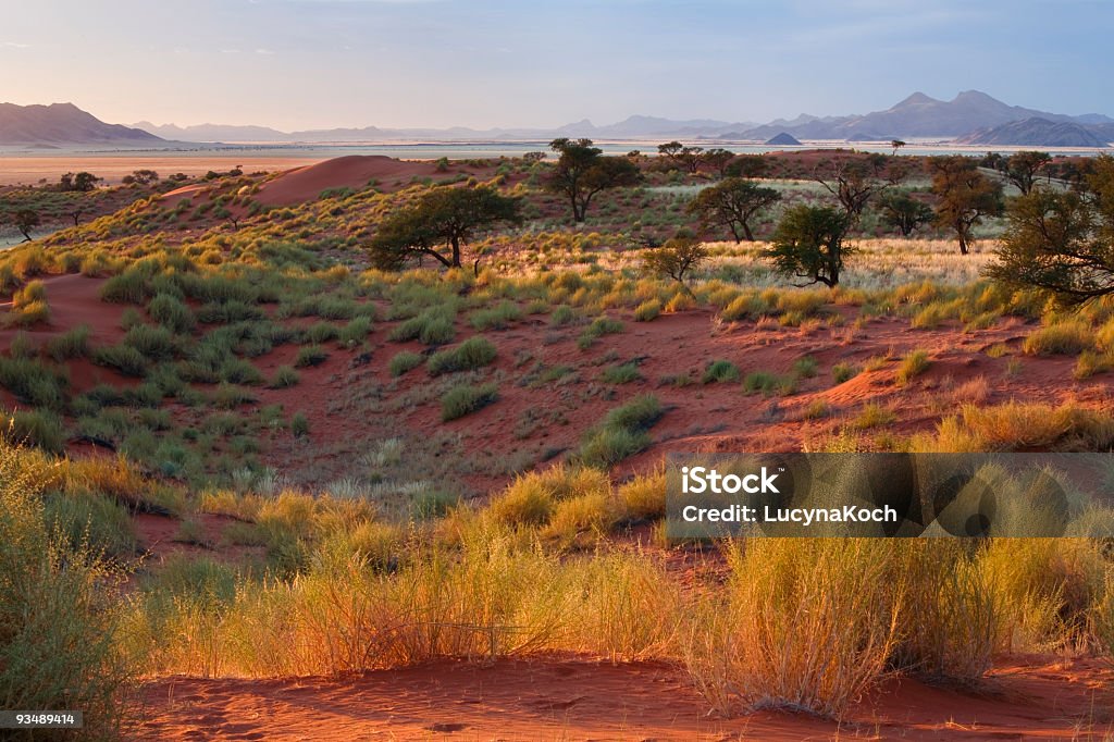 Morgen in der Wueste - Lizenzfrei Steppenlandschaft Stock-Foto