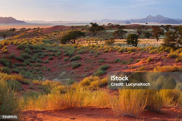 Morgen In Der Wueste Stockfoto und mehr Bilder von Steppenlandschaft - Steppenlandschaft, Steppe, Namibia