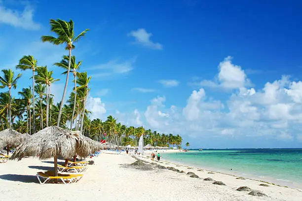 Caribbean resort beach fringed with palm trees and grass umbrellas.
