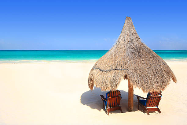 istock Beach chairs and palapa thatched umbrella overlooking the ocean 93489693