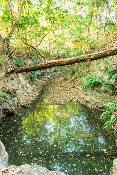istock Picturesque pond in the forest 934900118