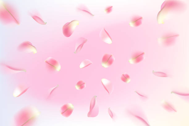 istock Background with realistic flying rose petals. Pink rose petals 934900580