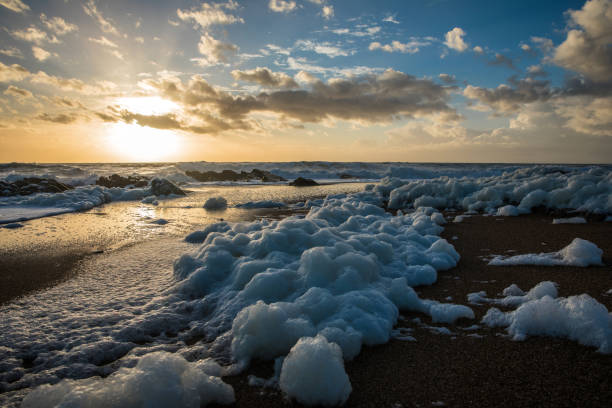 Low angle view of thick white sea foam on wet sandy beach. Black Sea coast, stormy weather, dramatic dark cloudy sky, autumn atmosphere, raw nature background