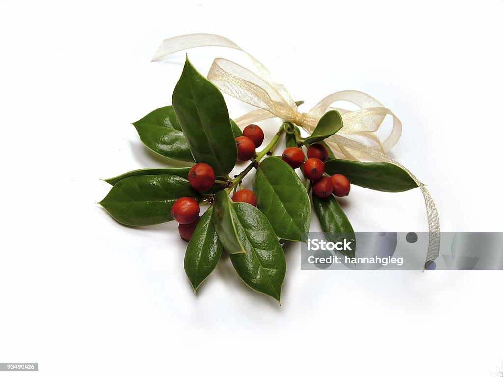 Pendere Holly - Foto stock royalty-free di Foglia