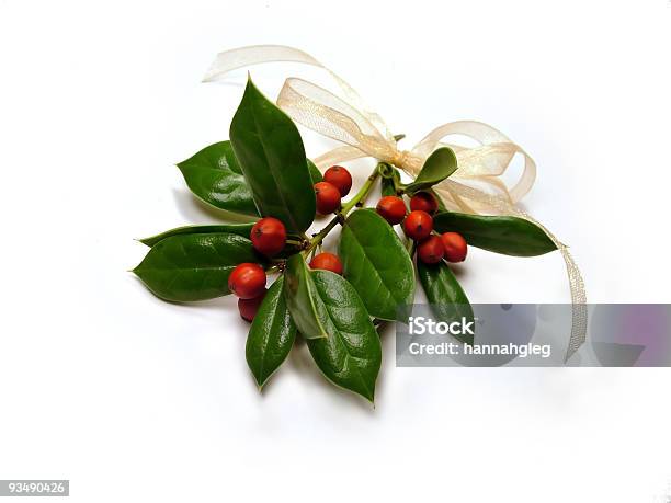 매달기 호랑가시나무 잎에 대한 스톡 사진 및 기타 이미지 - 잎, 크리스마스, 리본