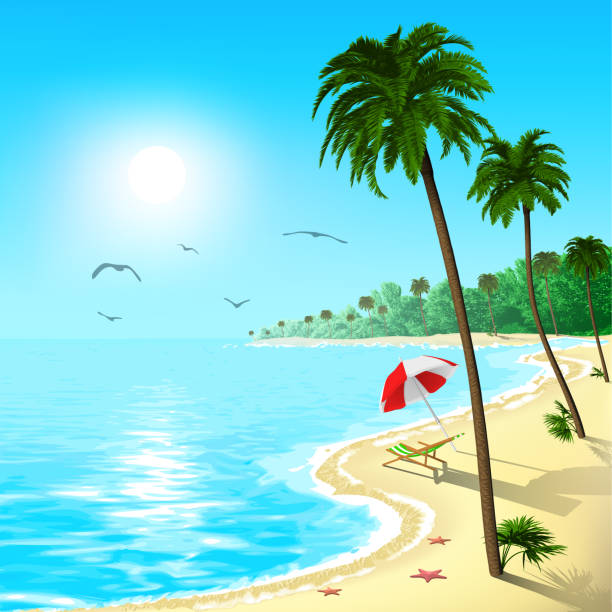 ilustrações, clipart, desenhos animados e ícones de praia com palmeiras e pássaros - lagoon