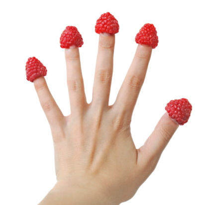Close-up of a male hand picking large ripe red raspberries, harvest of home grown fruit.