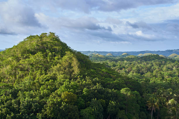 istock Famous Chocolate Hills view, Bohol Island, Philippines 934909082