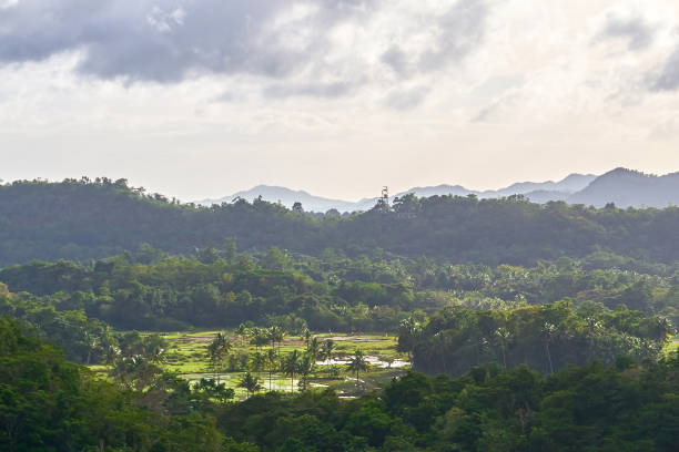 istock Aerial view of tripical forest, Bohol Island, Philippines 934909084