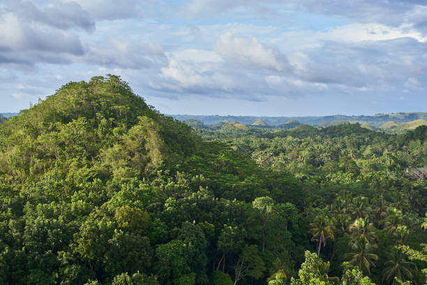 istock Famous Chocolate Hills view, Bohol Island, Philippines 934909088