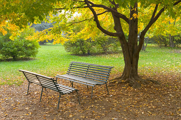 Autumnal town park stock photo