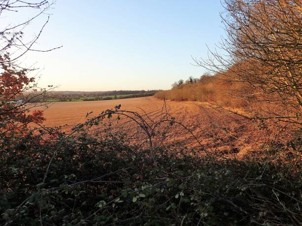 istock Woodoaks Farm, Rickmansworth 934916260