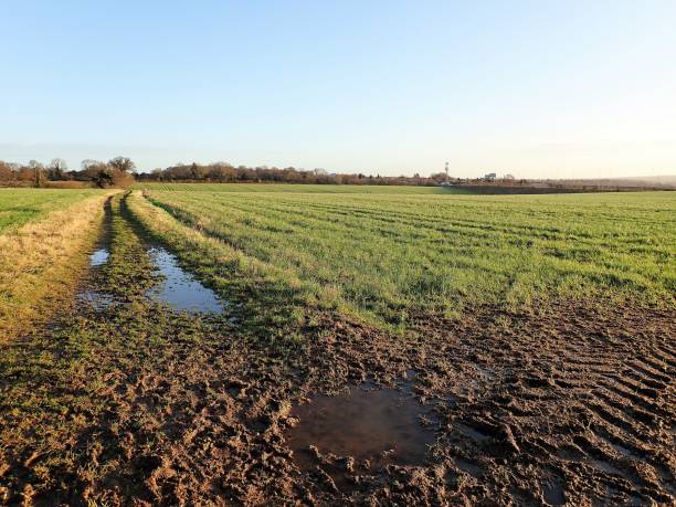 istock Hill Farm, Chorleywood 934916332