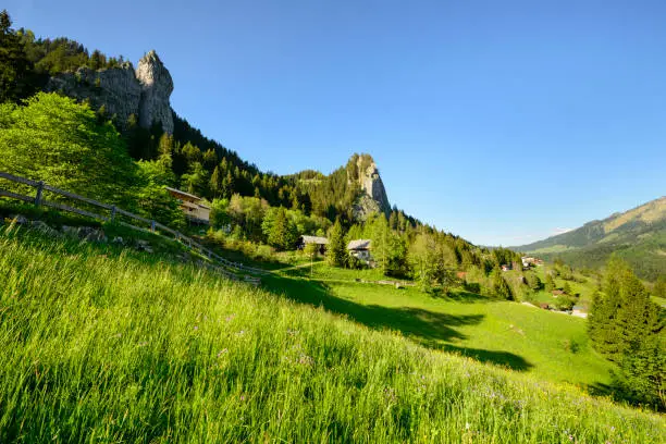 The idyllic mountain-village Ebnit in Vorarlberg in the Austrian alps. There is a meadow with  some flowers in the foreground and a mountain-range and blue sky in the background.