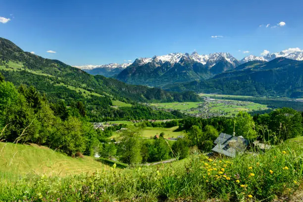 View from the idyllic mountain-village Thueringerberg in Vorarlberg in the Austrian alps. There are some flowers in the foreground and a mountain-range and blue sky in the background.