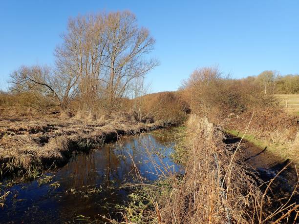 istock A view of the River Chess 934918718