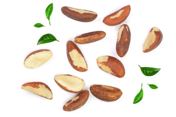 istock Brazil nuts isolated on white background closeup. Top view. Flat lay 934919236