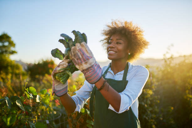 istock young african american woman inspecting beets 934921592