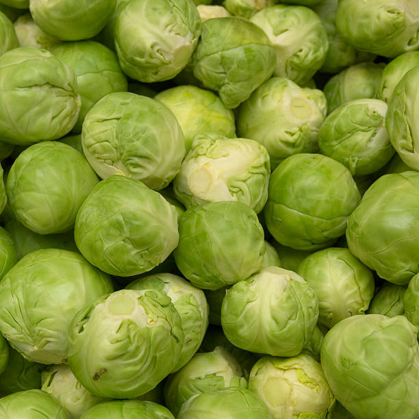 Brussel sprouts stock photo