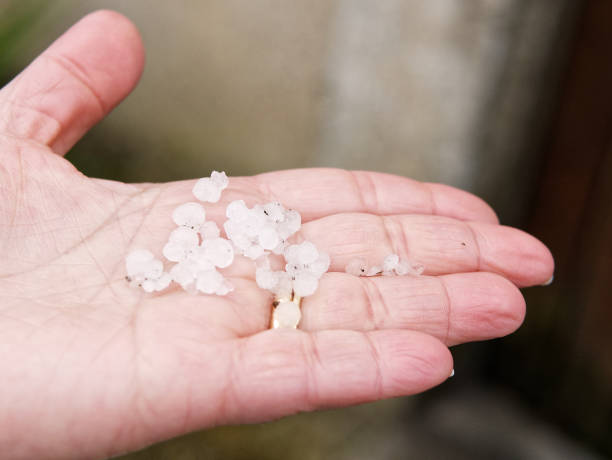 istock Hail in hands after hailstorm 934922670