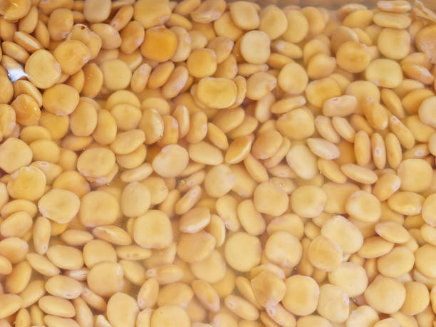istock lupin bean at market 934922740