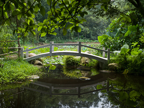 White stone bridge over river channel in Shanghai Natural Park, China