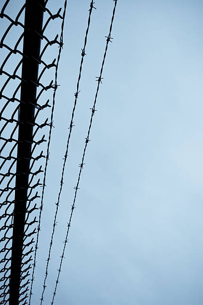 Barbwire fence stock photo