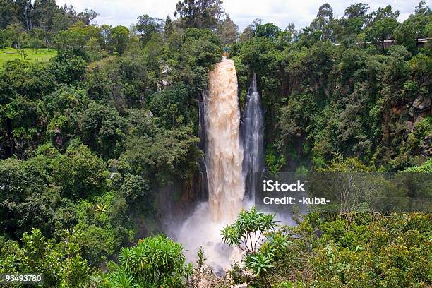 African Cascate - Fotografie stock e altre immagini di Cadere - Cadere, Acqua, Africa