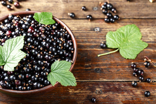 istock natural antioxidant fresh organic currant on a wooden background 934939894
