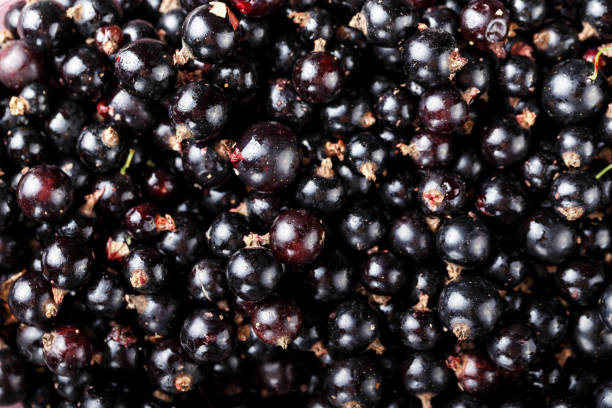 istock natural antioxidant fresh organic currant on a wooden background 934939902
