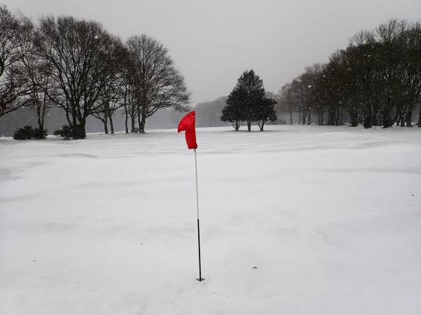 雪覆われたゴルフコース - playing golf 写真 ストックフォトと画像