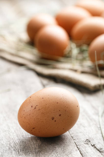 świeże ekologiczne jaja gospodarskie leżą na łomie - agriculture brown burlap cholesterol zdjęcia i obrazy z banku zdjęć