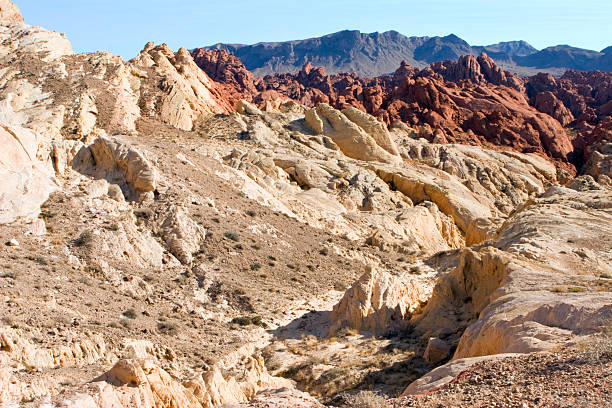 Valle de fuego - foto de stock