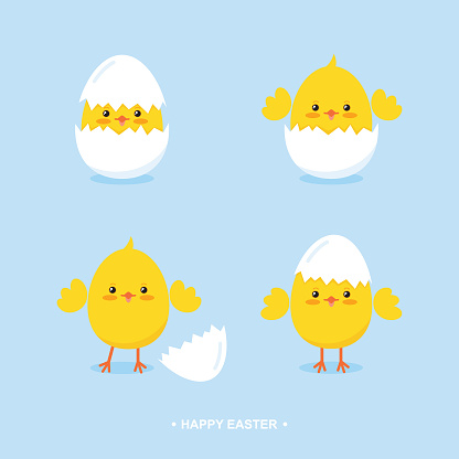 Simple flat vector illustration/ greeting card with cute cartoon easter chicks in eggshells.