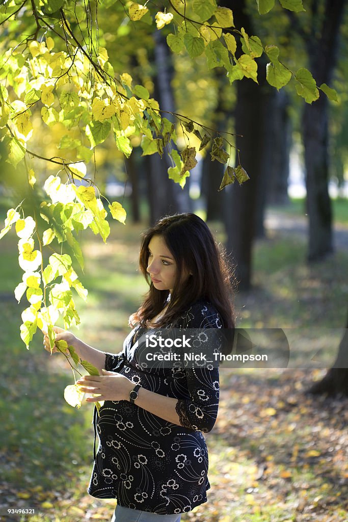 Femme enceinte accueillir arbre branche dans un parc - Photo de Adulte libre de droits