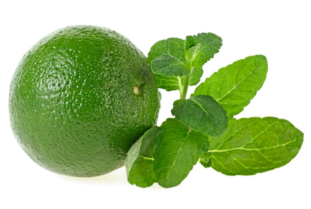 istock Fresh lime with mint leaves isolated on white background 934976654