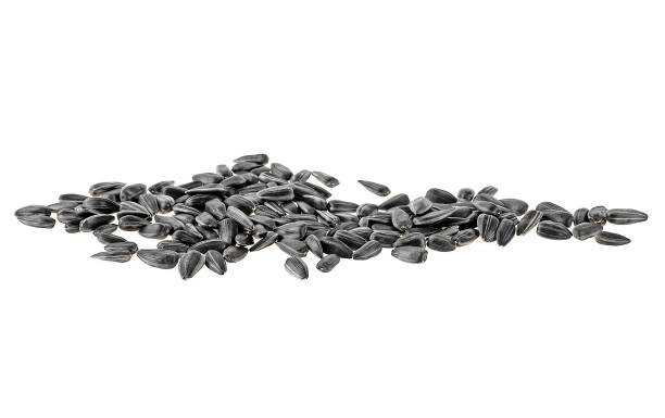 istock Sunflower seeds isolated on white background 934978826
