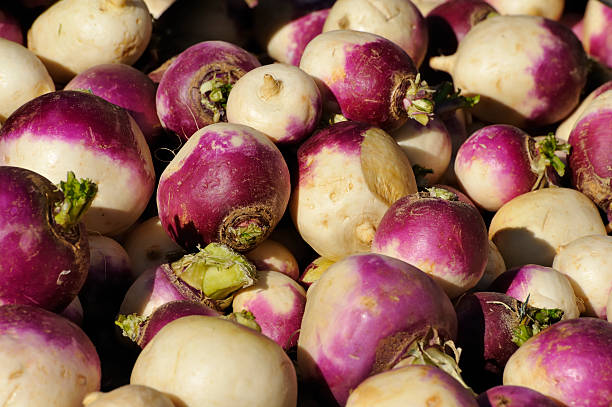 turnips stock photo